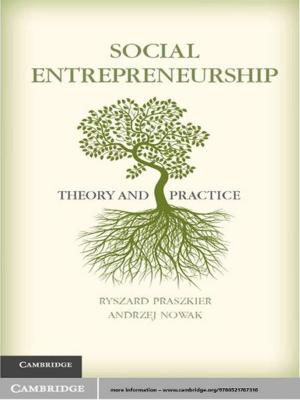 Cover of the book Social Entrepreneurship by Erik Schokkaert, Wulf Gaertner