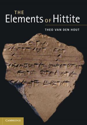Cover of the book The Elements of Hittite by Ritsert C. Jansen