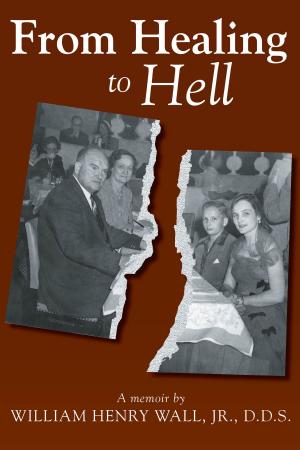 Book cover of From Healing to Hell