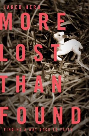 Cover of the book More Lost Than Found by Frank Peretti