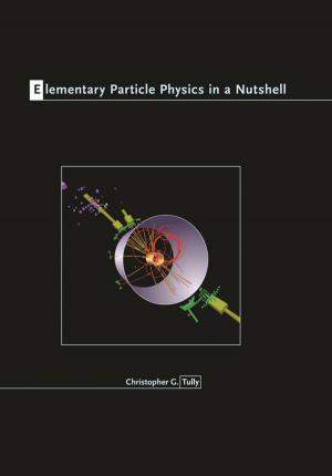 Cover of the book Elementary Particle Physics in a Nutshell by Douglas A. Irwin