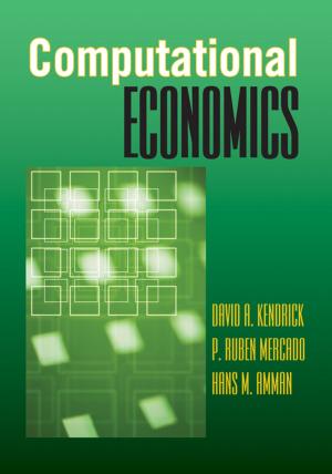 Cover of the book Computational Economics by Éloi Laurent