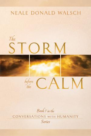 Cover of the book The Storm Before the Calm by Stuart Wilde