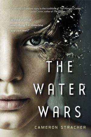 Cover of the book The Water Wars by Julie Ann Walker
