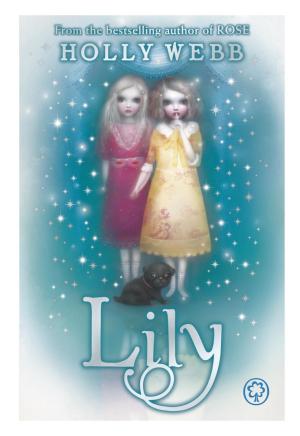 Cover of the book Lily by Andy Seed, Roger Hurn