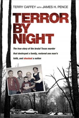 Book cover of Terror by Night