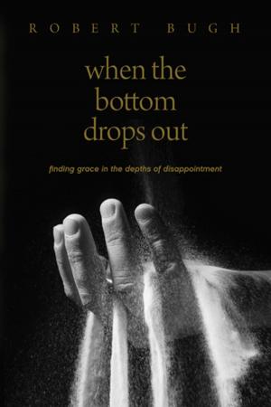 Cover of the book When the Bottom Drops Out by Jaime Fernández Garrido, Daniel Dean Hollingsworth