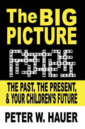 Cover of the book The Big Picture by Tia Rose
