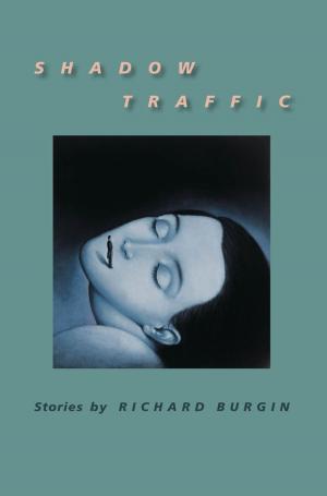 Cover of the book Shadow Traffic by Theresa M. Kelley