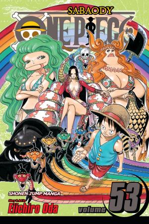 Cover of One Piece, Vol. 53
