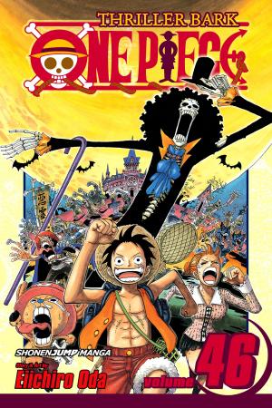 Cover of the book One Piece, Vol. 46 by Yukiru Sugisaki