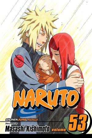 Cover of Naruto, Vol. 53