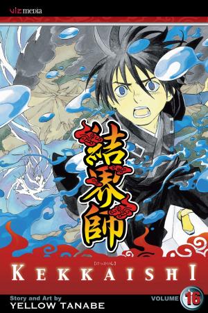 Book cover of Kekkaishi, Vol. 16