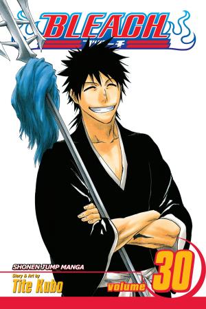 Cover of the book Bleach, Vol. 30 by Aubrey Law