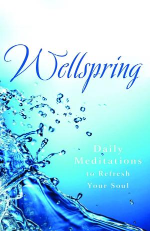 Cover of the book Wellspring by William H. Willimon
