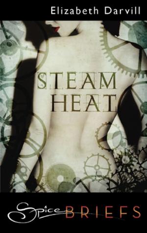 Cover of the book Steam Heat by Portia Da Costa