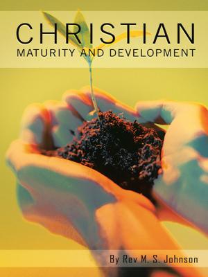 Cover of the book Christian Maturity and Development by Jack Schmitt