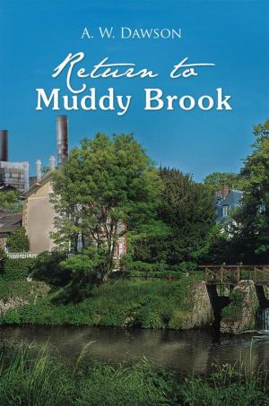 Cover of the book Return to Muddy Brook by Abol Danesh