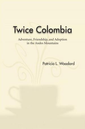 bigCover of the book Twice Colombia by 