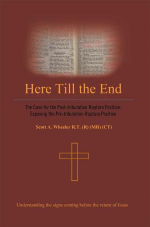 Cover of the book Here Till the End by R. Evans Pansing