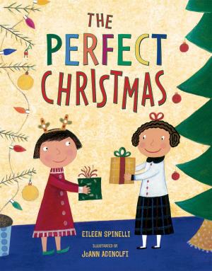 Cover of the book The Perfect Christmas by John Himmelman