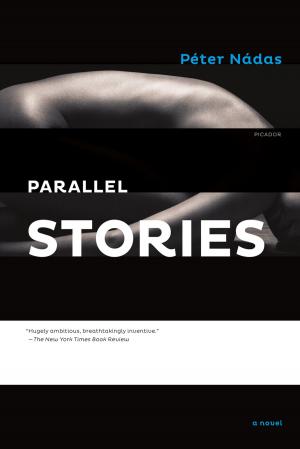 Cover of the book Parallel Stories by Larry Zuckerman