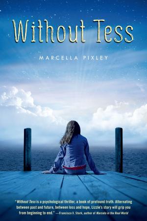 Cover of the book Without Tess by Deborah Diesen