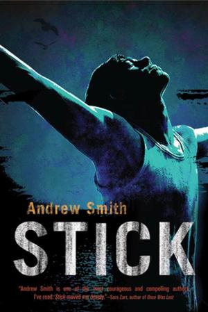 bigCover of the book Stick by 