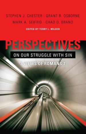 Book cover of Perspectives on Our Struggle with Sin