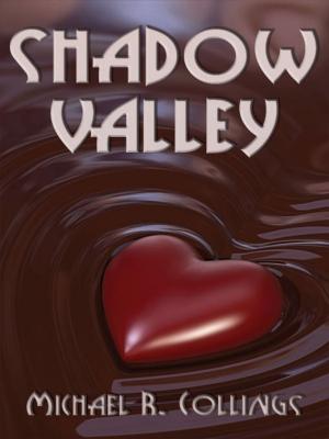 Cover of the book Shadow Valley: A Novel of Horror by Megan Daymond