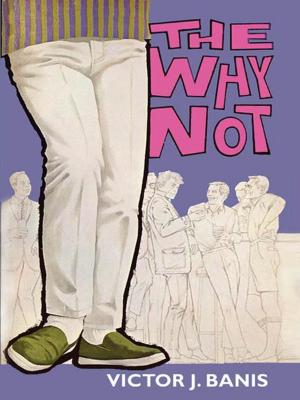 Cover of the book The Why Not by Arthur Train
