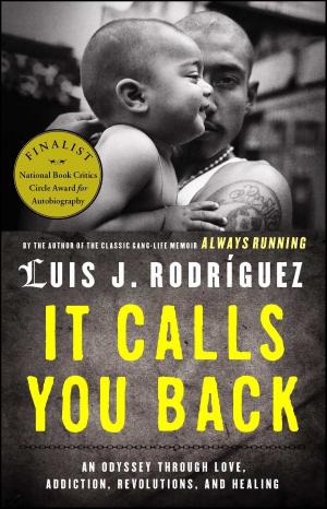 Cover of the book It Calls You Back by Manisha Jolie Amin