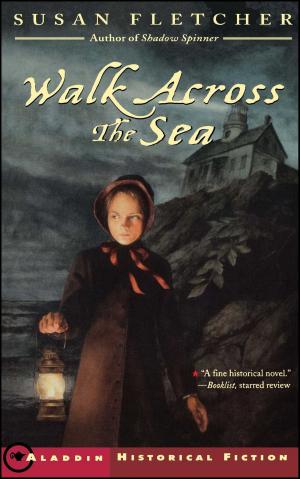 Cover of the book Walk Across the Sea by Phyllis Reynolds Naylor