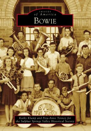 Cover of the book Bowie by MaryAnn Marshall, Sara Mascia