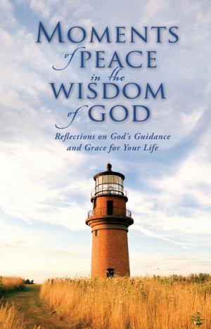 Cover of the book Moments of Peace in the Wisdom of God by Julie Lessman
