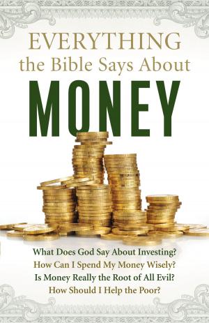 Cover of the book Everything the Bible Says About Money by Veli-Matti Kärkkäinen