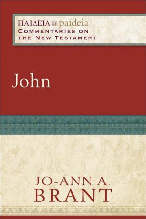 bigCover of the book John (Paideia: Commentaries on the New Testament) by 