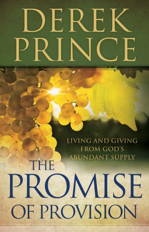 Cover of the book The Promise of Provision by Janette Oke, T. Davis Bunn