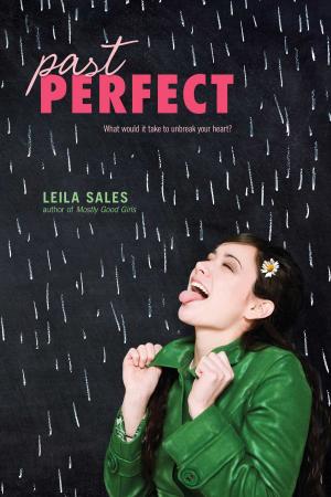 Cover of the book Past Perfect by Sara Barnard