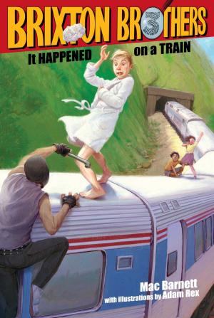 Cover of the book It Happened on a Train by Mary Higgins Clark
