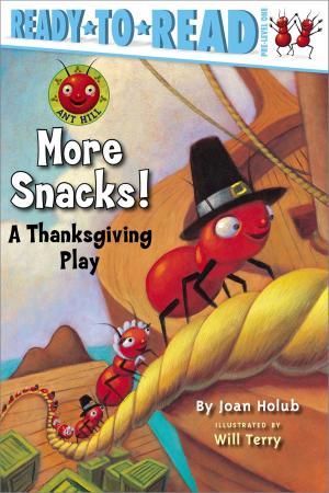 Cover of the book More Snacks! by Tina Gallo