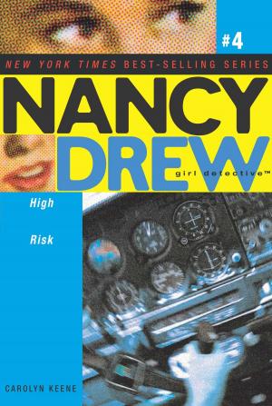 Cover of the book High Risk by Kathleen Duey