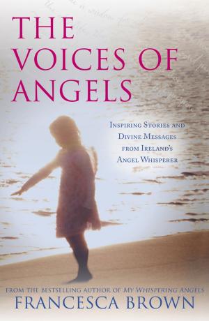 Cover of the book The Voices of Angels by Patricia Robins
