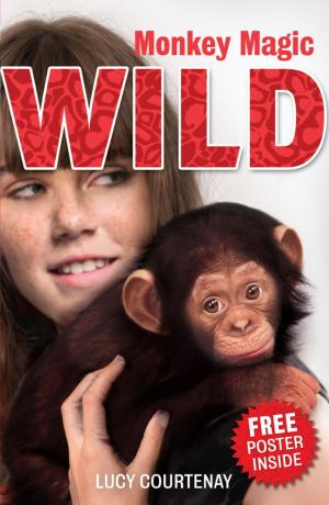 Book cover of WILD: 2: Monkey Magic