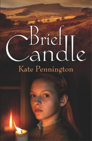 Cover of the book Brief Candle by Adam Blade