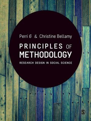 Book cover of Principles of Methodology
