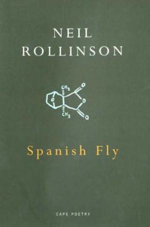 Cover of the book Spanish Fly by Dong Lin