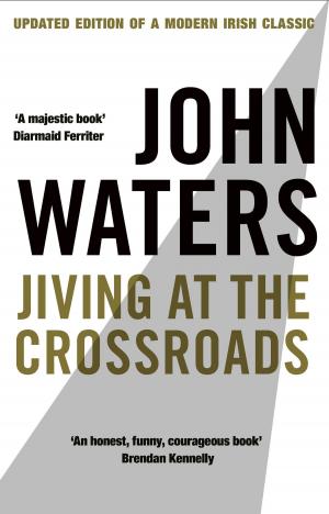 Cover of the book Jiving At The Crossroads (New Edition) by Liz Lyons