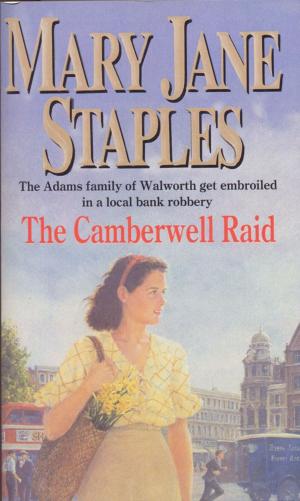Cover of the book The Camberwell Raid by Judy Astley