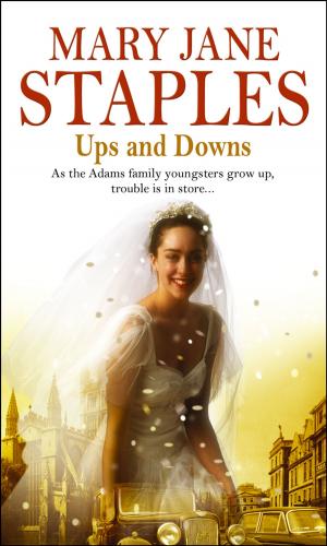 Cover of the book Ups And Downs by Lar Corbett